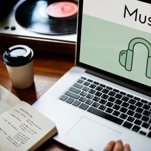 Music Distribution and Curation